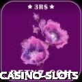 0697 Premium - Casino & Slots